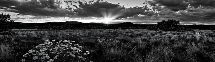 A meadow is lit with Christmas string lights. Clouds fill the sky, and sun rays shine through, creating a warm atmosphere. The scene showcases nature and festiv