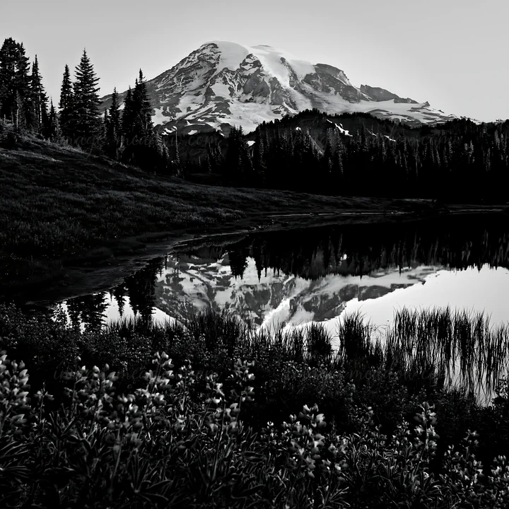 Mount Rainier rises in the background over a wildflower meadow at sunrise. A mirror-like lake reflects the mountain and the surrounding trees. Flowers bloom in