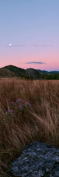 A granite boulder sits in a drought resilient meadow in Nagano during dusk. The sky displays soft colors as the moon rises. Grass and wildflowers fill the foreg