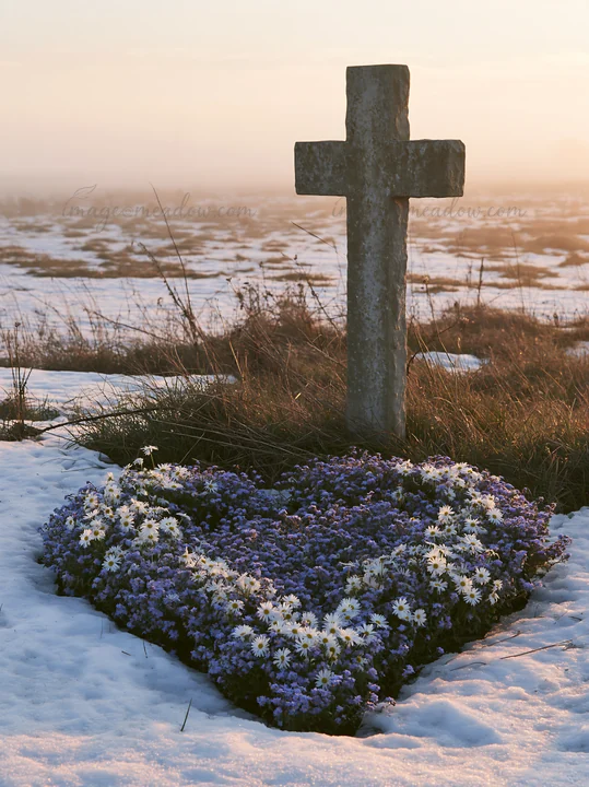 A stone Christian cross stands in a snowy meadow surrounded by flowers. The scene is set during the evening with soft light illuminating the landscape. The fiel