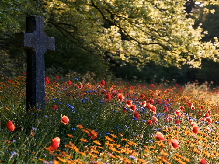 A stone Christian cross stands in a snowy meadow filled with colorful flowers. The bright colors contrast with the white snow, creating a striking scene in natu