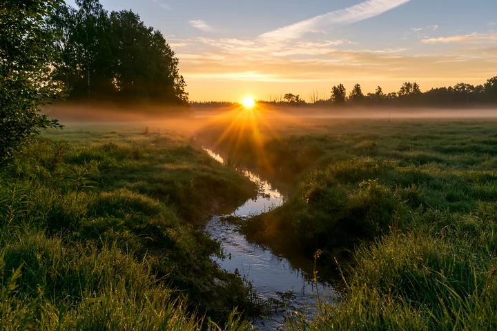 Sunbeams over a misty meadow create a warm glow as the sun rises above the horizon.
