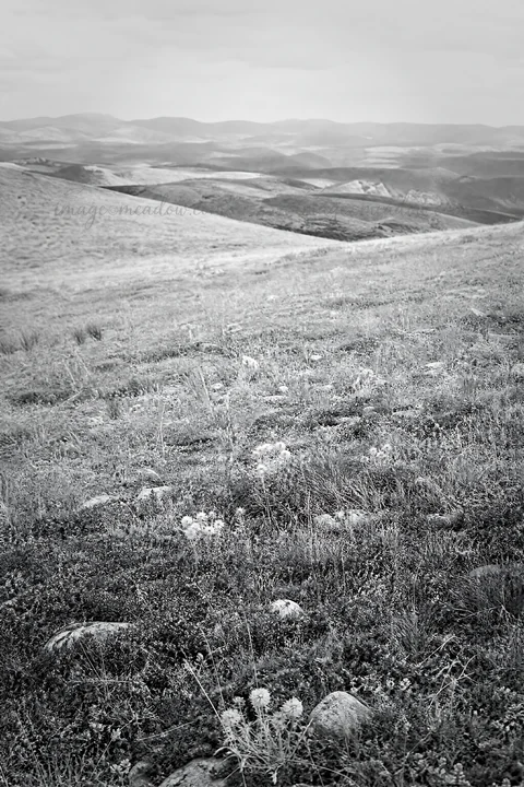 A wide view of a sunny limestone meadow features green grass and sparse flowers. Distant mountains rise in the background, showing rolling hills under a clear s