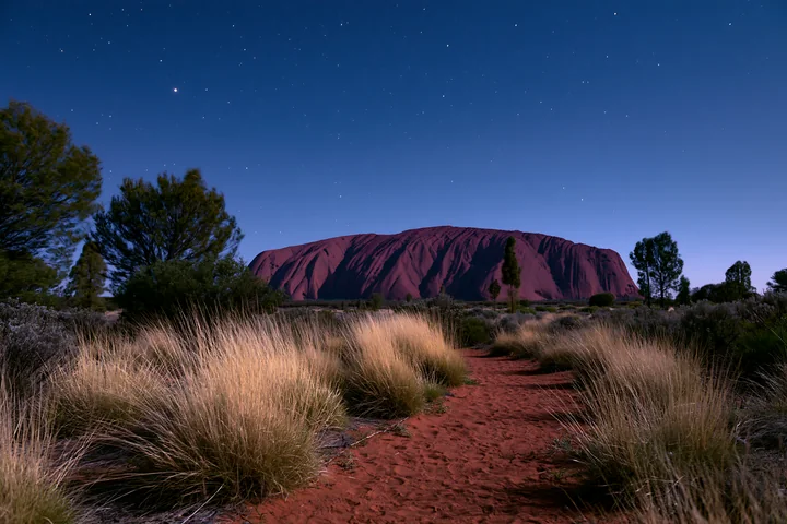 Uluru rises beyond a red sandy path and desert grass beneath a star-filled night sky.