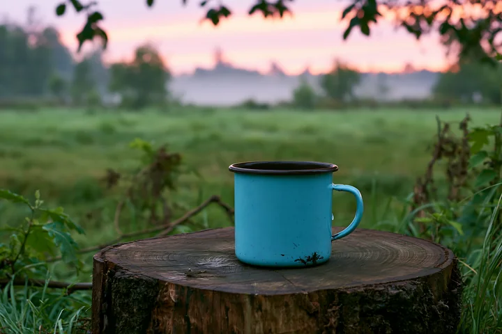 A blue mug sits on a wooden stump in a freshly mowed meadow with green grass.