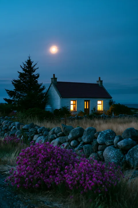 A country house under starry sky stands in a quiet area, with bright windows and flowers in the foreground.