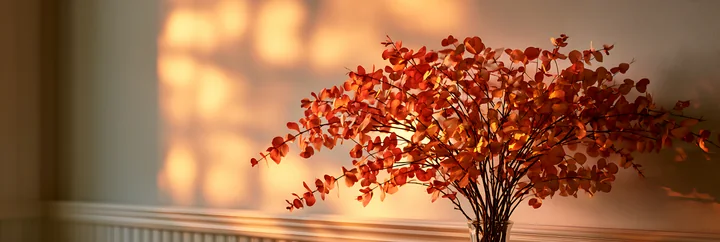 A decorative branches arrangement with orange leaves sits on a table while golden light from a window creates soft shadows on the wall in a living room setting