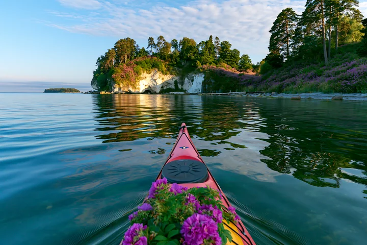 A kayak moves through calm waters near an island with flowers and white cliffs.