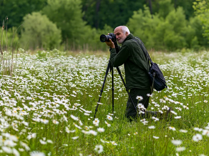 A man is crouching in a lush meadow, photographing wildflowers with a camera on a tripod.
