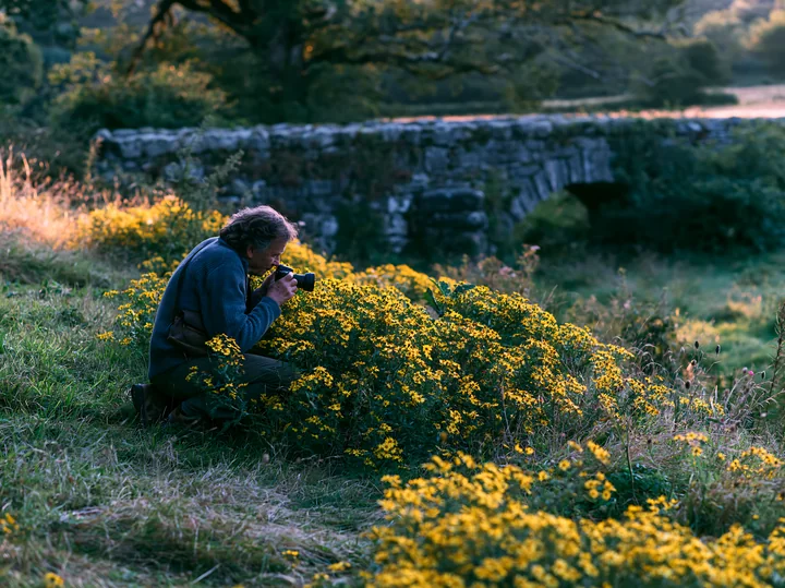 A man is kneeling in a meadow filled with yellow flowers, capturing their beauty with a camera.