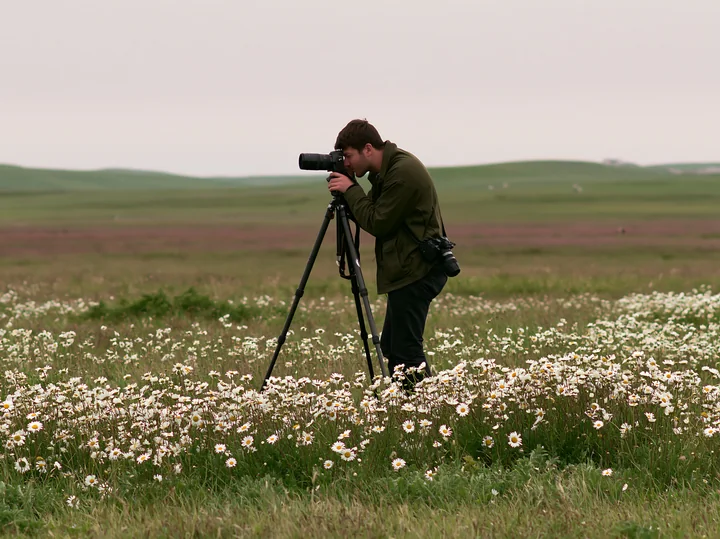 A man photographing meadow flowers stands in a grassy field surrounded by daisies.