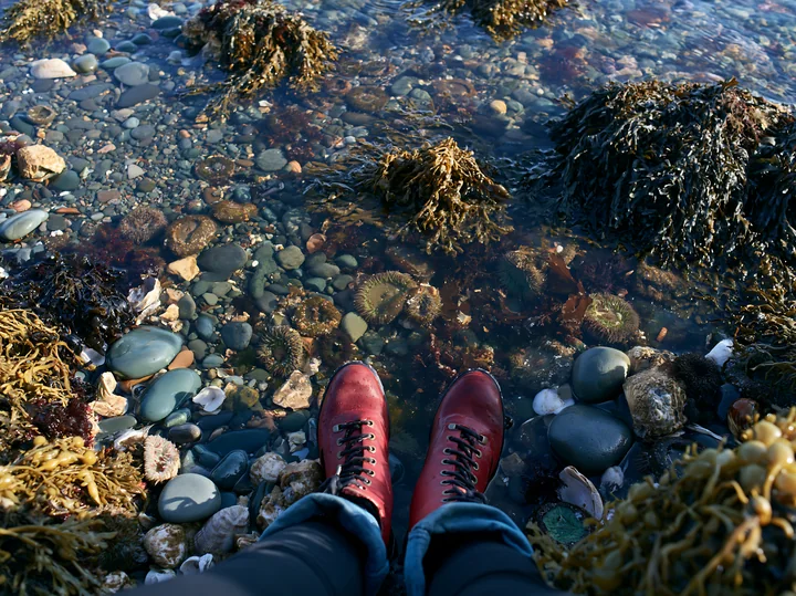 A pair of red boots stand on a pebbly coastline beach surrounded by seaweed and various stones.