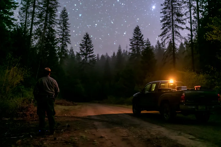 A person stands near a parked truck on a dirt road, looking at a starry night over a pine forest.
