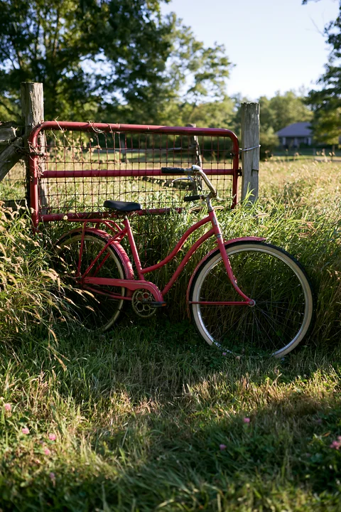 A red bicycle leans against a wooden fence in a meadow with tall grass.