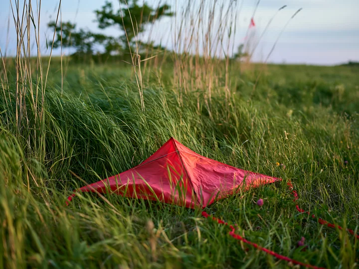 A red kite lies on the grass in a meadow with the wind blowing through meadow grass.