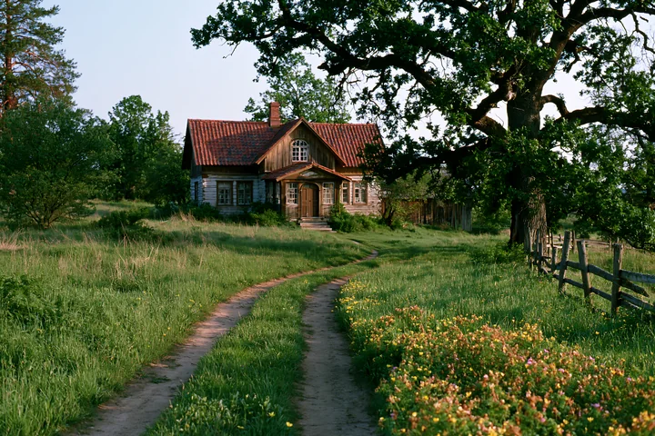 A rural home under oak trees sits at the edge of a grassy field.