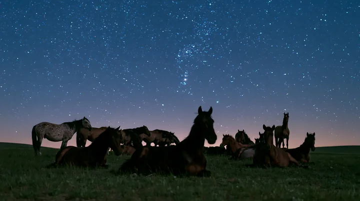 A wild horse herd is resting under a clear night sky filled with stars.