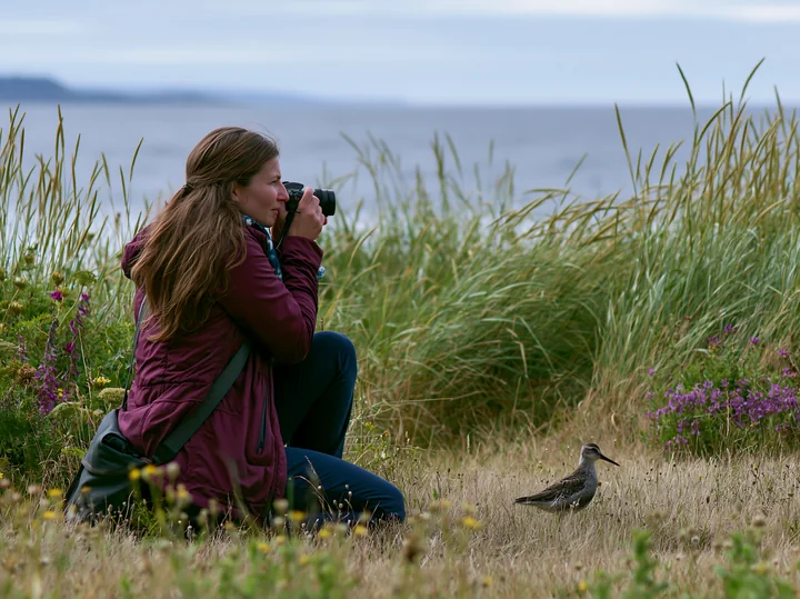 A woman crouches in a coastal meadow overlooking ocean, focusing her camera on a bird nearby.