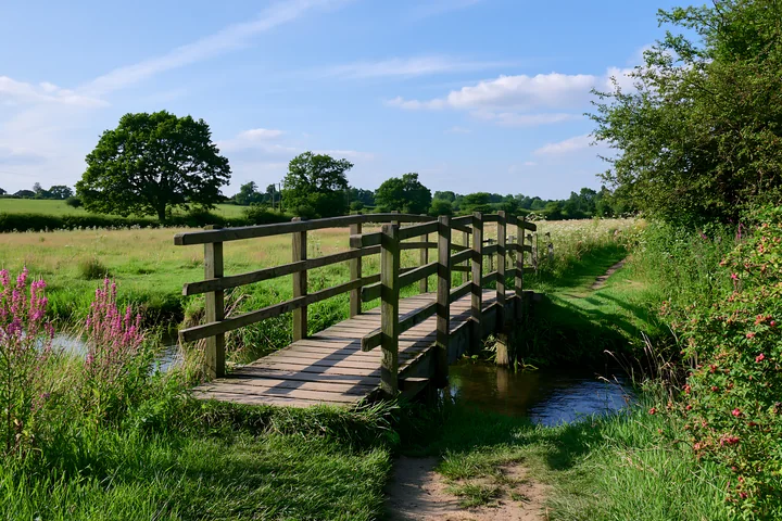 A wooden bridge crosses a small stream along a footpath through a wildflower meadow.