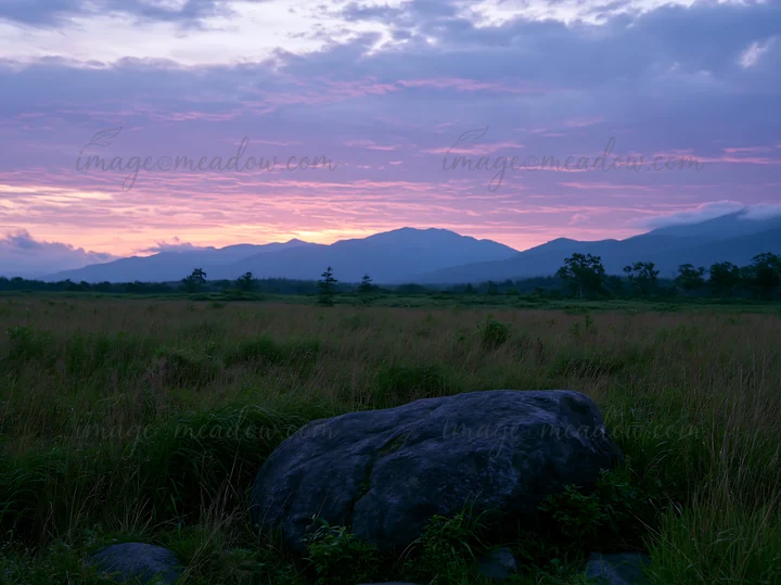 A meadow in Aomori with a large boulder in the foreground. The sky displays shades of purple and orange as the sun sets, casting light across the grass and moun