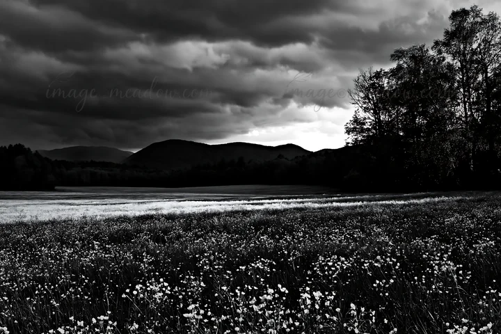 A meadow filled with buttercup flowers stretches across the landscape, with dark clouds looming overhead. Distant hills create a backdrop to this natural scene,