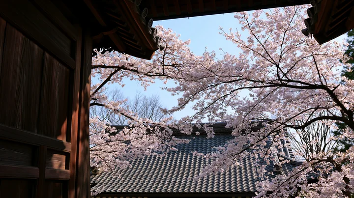 Cherry blossoms are visible through a temple gate, highlighting their pink blooms against a clear sky.