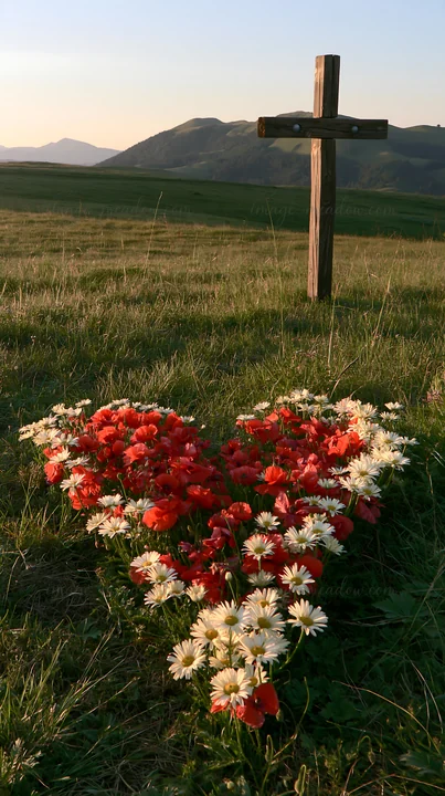 A wooden cross stands in a meadow surrounded by flowers arranged in a heart shape at sunrise. The location features grasslands and distant hills under morning l