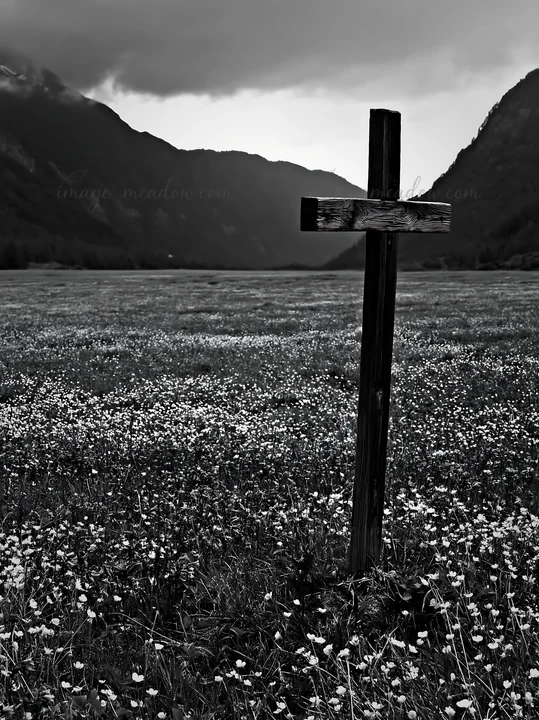 A wooden cross stands alone in a meadow filled with white flowers. The background features mountains under a cloudy sky. This scene captures a moment of signifi