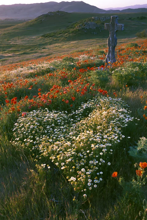 A wooden Christian cross stands in a valley meadow surrounded by colorful wildflowers. The scene shows a heart-shaped arrangement of white flowers and red poppi