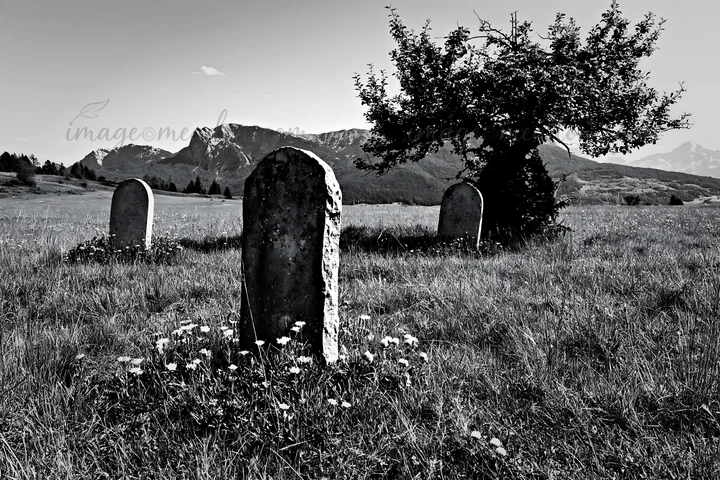 A meadow in the Dolomites has several gravestones surrounded by grass and wildflowers. An apple tree stands nearby. The scene is captured in black and white, hi