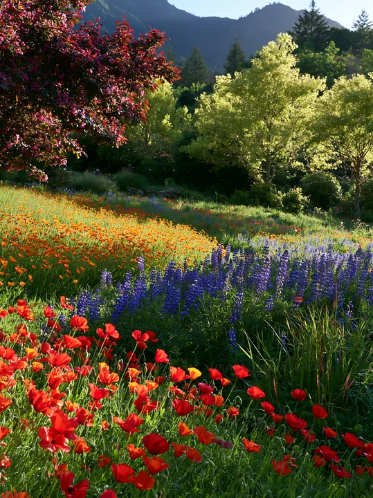 Colorful Christmas lights are strung across a deep mountain valley. The lights add brightness to the meadow filled with trees and flowers. This scene captures t