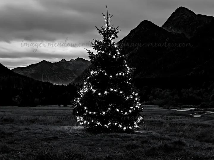 A Christmas tree stands in a deep mountain valley meadow, lit with lights. Surrounding mountains loom in the background under a cloudy sky. This setting capture