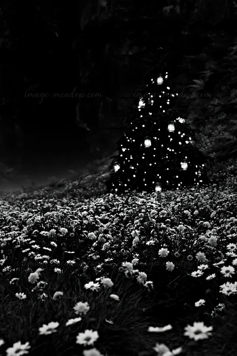 A Christmas tree with ornaments stands in a meadow filled with flowers, close to a cave. The scene captures the decorations and the natural landscape in black a