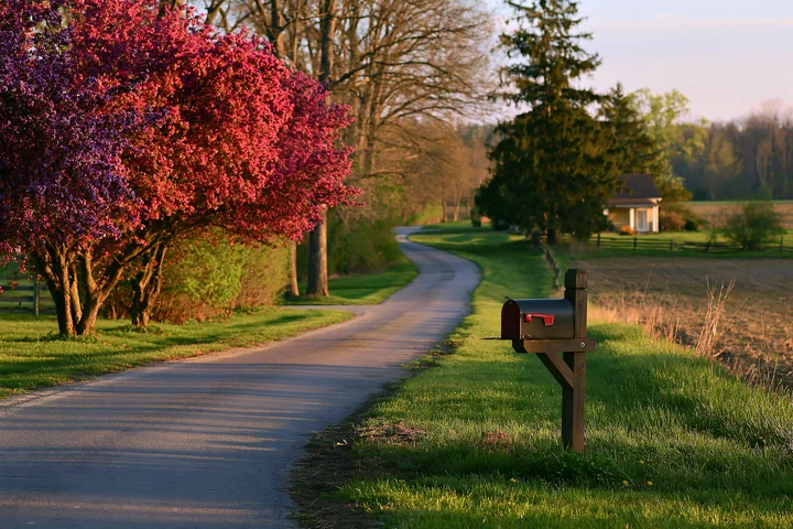 Colorful flowering trees frame a winding country road with a mailbox, fields, and farmhouse in warm light.