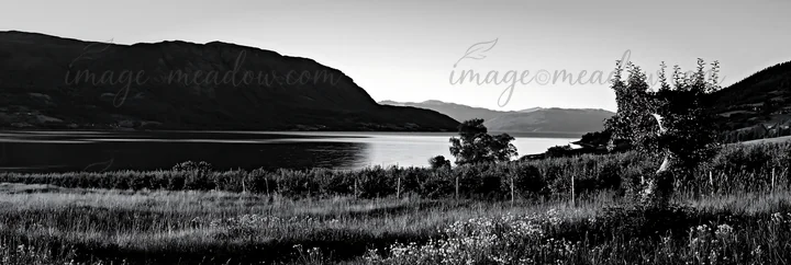 The setting features an orchard beside a calm fjord, with mountains in the background reflecting the warm light. Tall grass and wildflowers add color to the mea