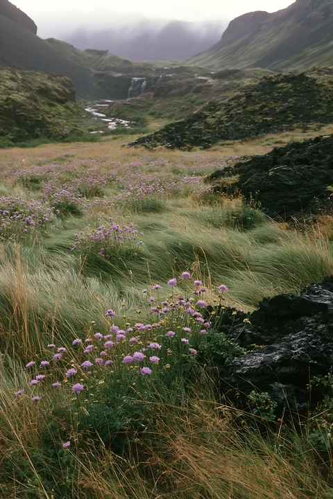 A meadow filled with purple flowers spans the valley near flowing mountain falls. Green grass sways gently in the breeze under a cloudy sky, creating a natural