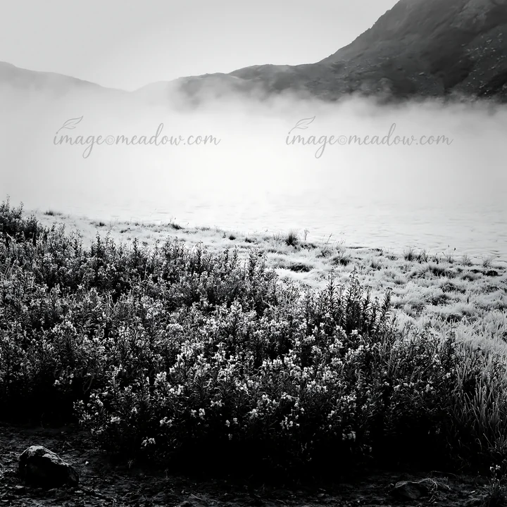 A frozen tarn is visible surrounded by lush meadows. The fog covers parts of the water, and the backdrop features rugged mountains. The scene captures a winter