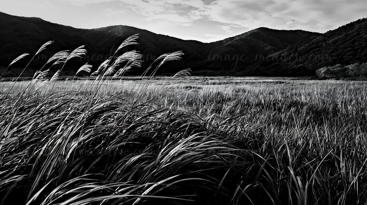 Rain falls on an Iwate meadow with seedheads in the foreground. The mountains rise in the background under a partly cloudy sky, creating a natural scene with vi