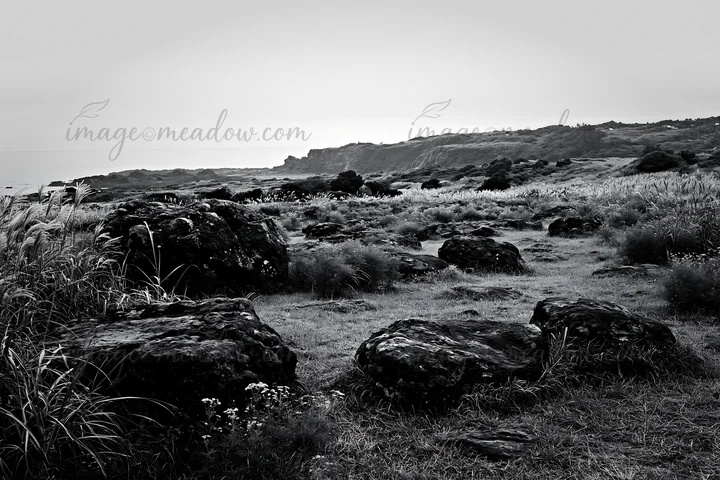 Volcanic stones are scattered across a meadow in Kanagawa, with gentle hills and greenery in the background. The scene captures the natural landscape under a cl