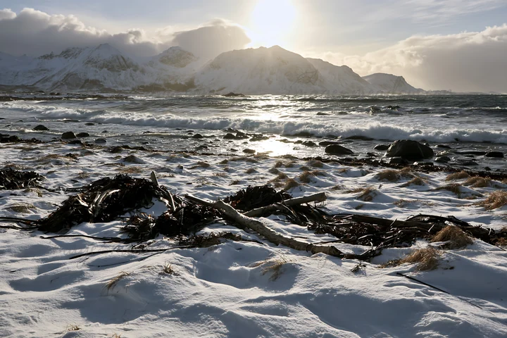 Snow covers the coastal meadow in Lofoten as waves crash on the shore. The sun rises behind the mountains, casting light on the landscape. The scene captures wi
