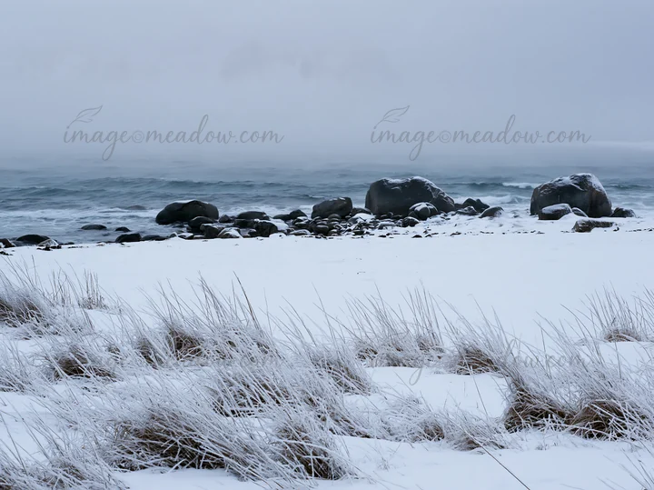 In Lofoten, a coastal meadow is blanketed with snow. Rocks emerge from the snow and contrast with the dark sea. Overcast skies create a gray atmosphere above th