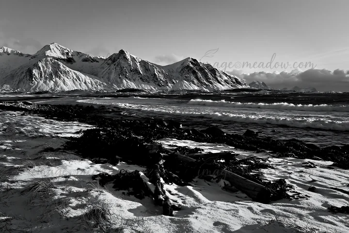 Snow covers the coastal meadow of Lofoten, Norway. The mountains rise in the background under a cloudy sky. Waves crash on the shore, creating a scenic winter l