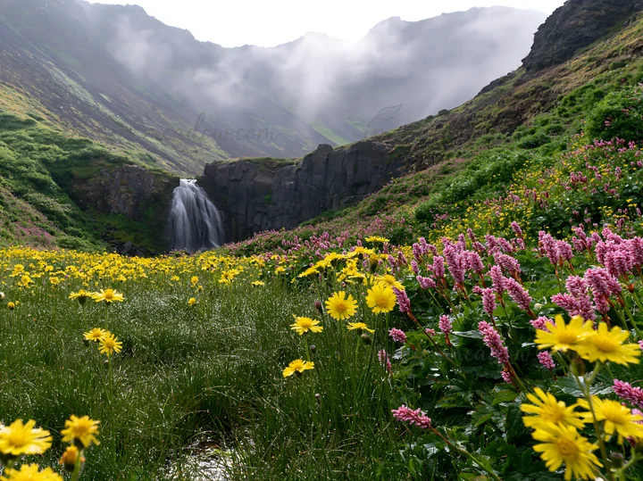 A waterfall cascades down rocky cliffs, surrounded by green meadows filled with yellow and pink wildflowers. Mist covers the mountains, creating a natural scene