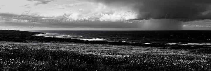A landscape shows a meadow filled with grass and flowers above the Atlantic coast in Portugal. Dark clouds loom overhead as rainwater falls in the distance towa