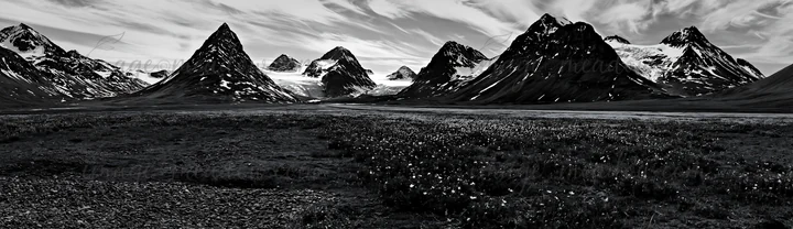 A view of a regenerative meadow bordered by mountains. Snow caps the peaks under a cloudy sky. The scene highlights the natural elements in a remote area, showc