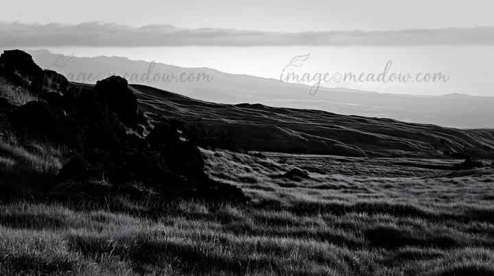 A restored Kumamoto silver grass meadow with scattered boulders. The view captures rolling hills, grass swaying gently under the afternoon sky. The landscape hi