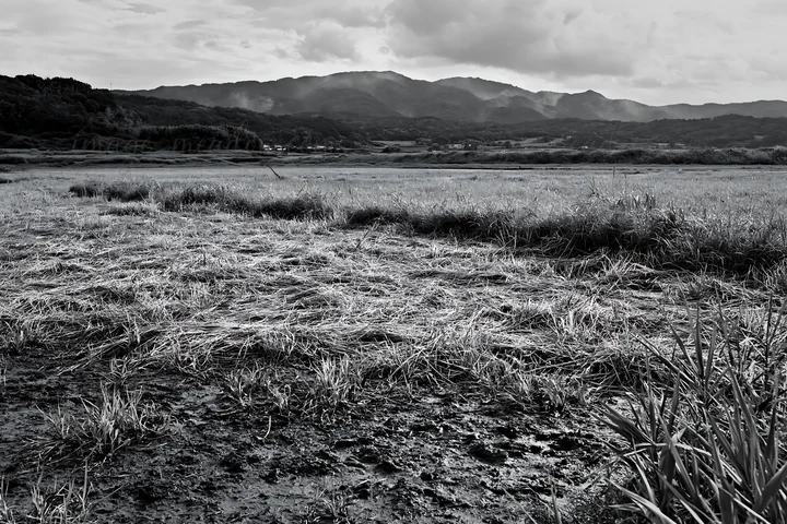 A floodplain meadow features reeds in the foreground with green grass. The background shows mountains under a cloudy sky, indicating a rural area with nature. P
