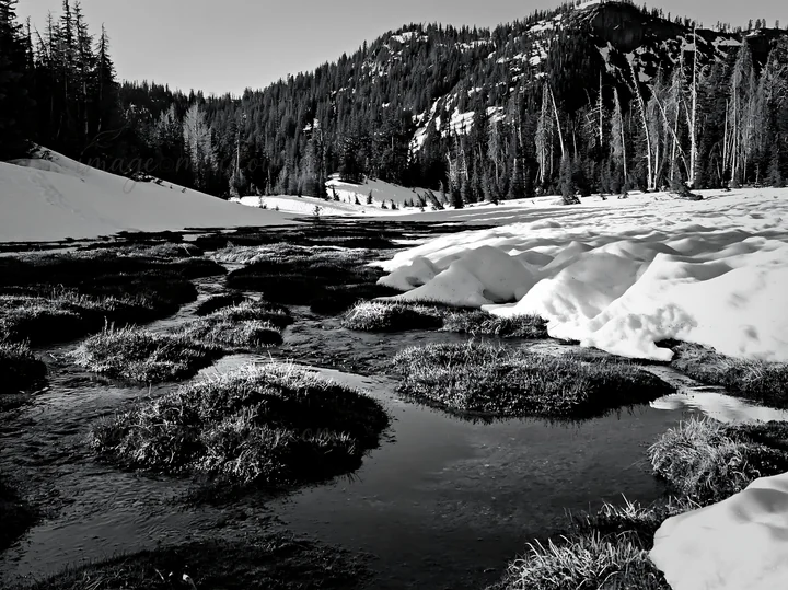 Snowmelt in a meadow fills small streams and forms patches of grass. The scene shows the landscape in black and white, capturing natural elements in a mountaino