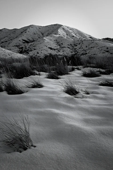 A snowy meadow with tufts of grass stretches across a hillside. In the background, rugged mountains rise against a setting sun, casting soft colors across the s