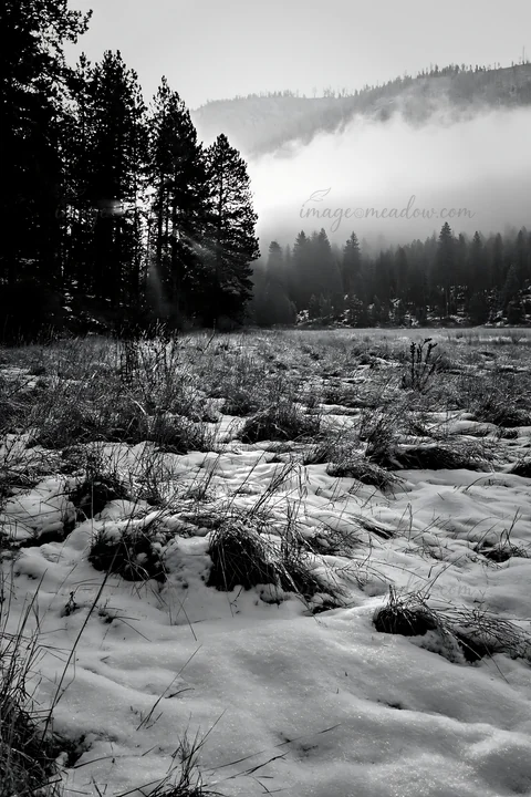 A meadow covered in snow is seen in the foothills, surrounded by tall trees. Fog hangs in the air, creating a quiet scene. The sunlight filters through the tree